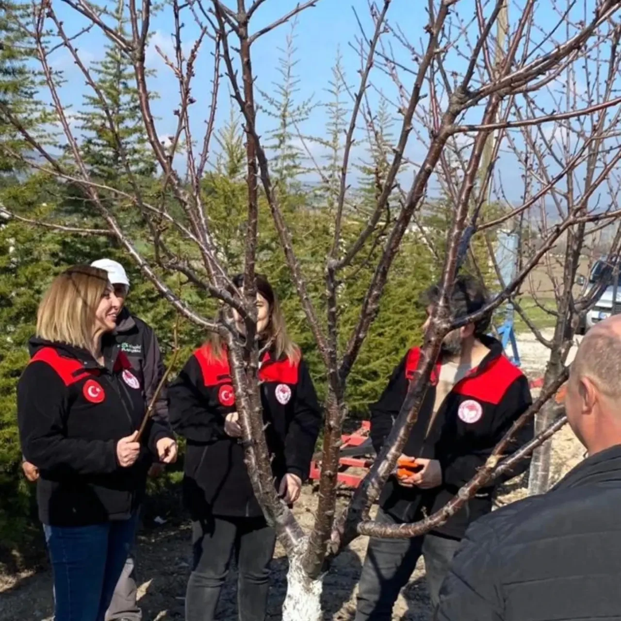 Merzifon’da Budama Eğitimi Düzenlendi 2