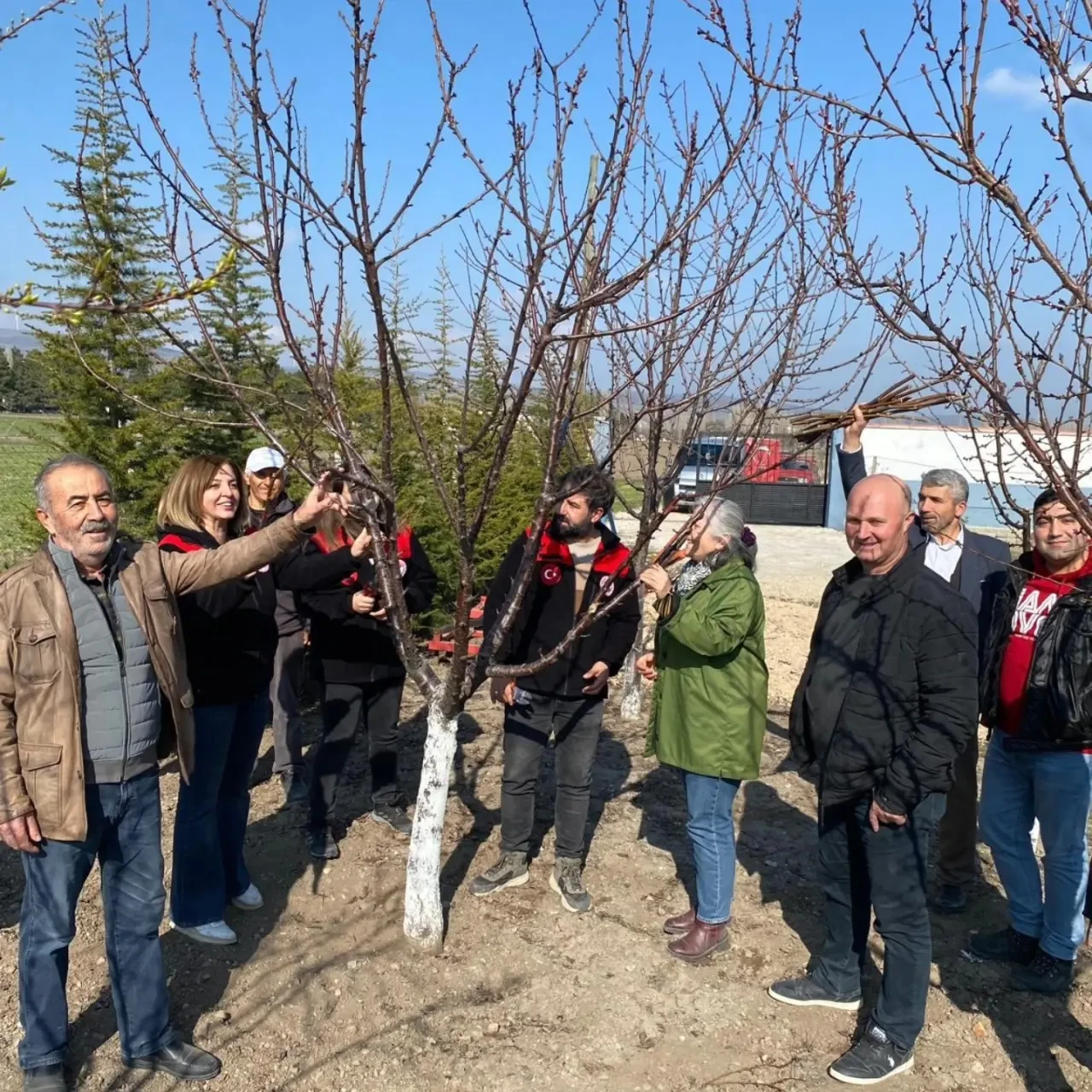 Merzifon’da Budama Eğitimi Düzenlendi 3