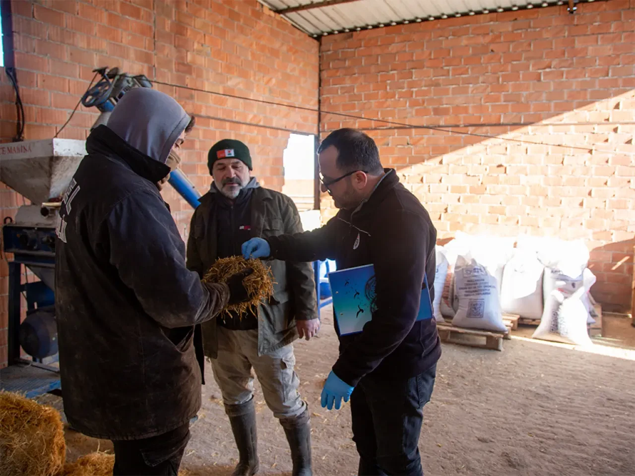 Amasya'da Köyde Üretim Güçleniyor 4