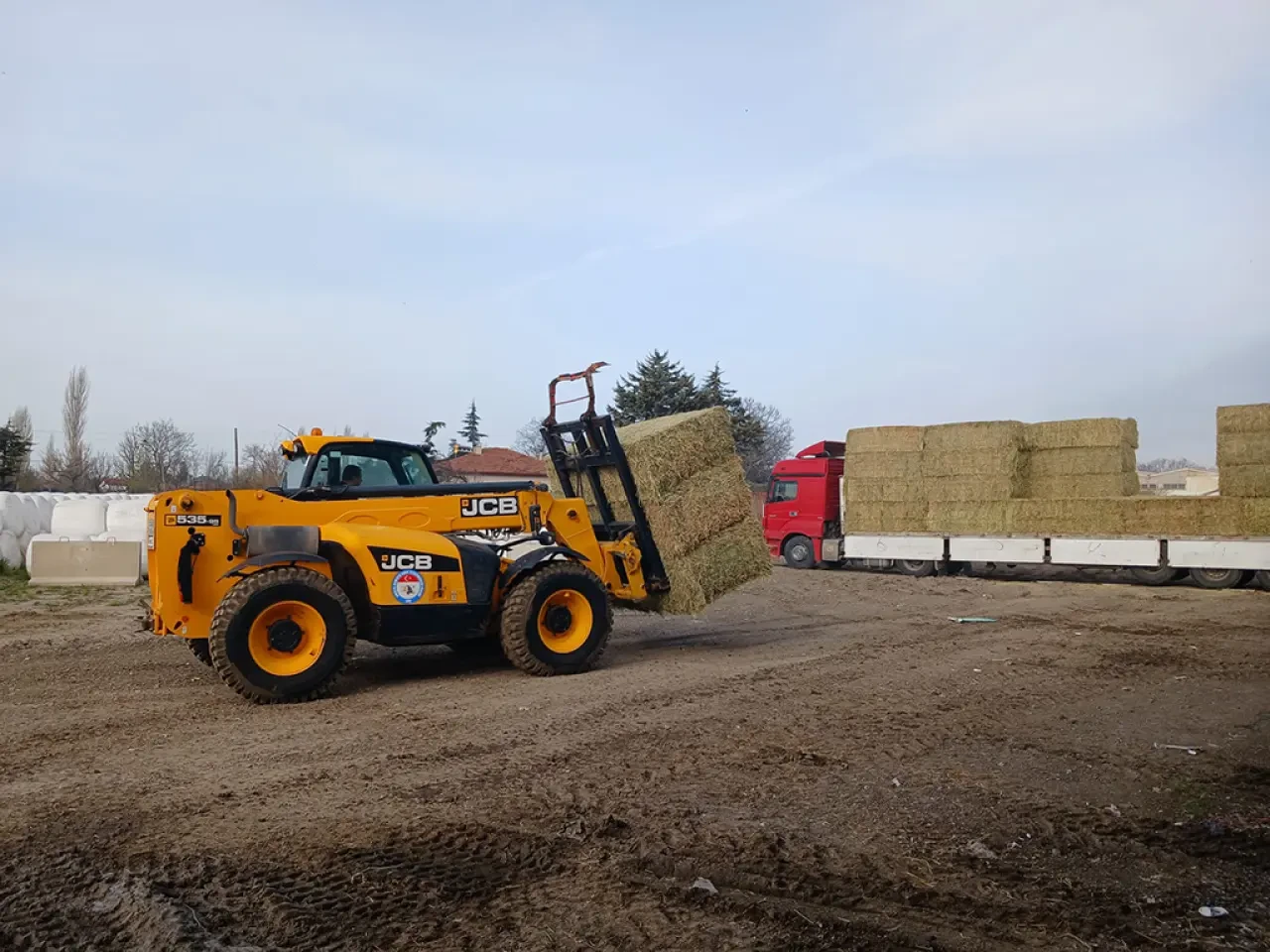 Amasya’da Yem Krizine Net Çözüm 4