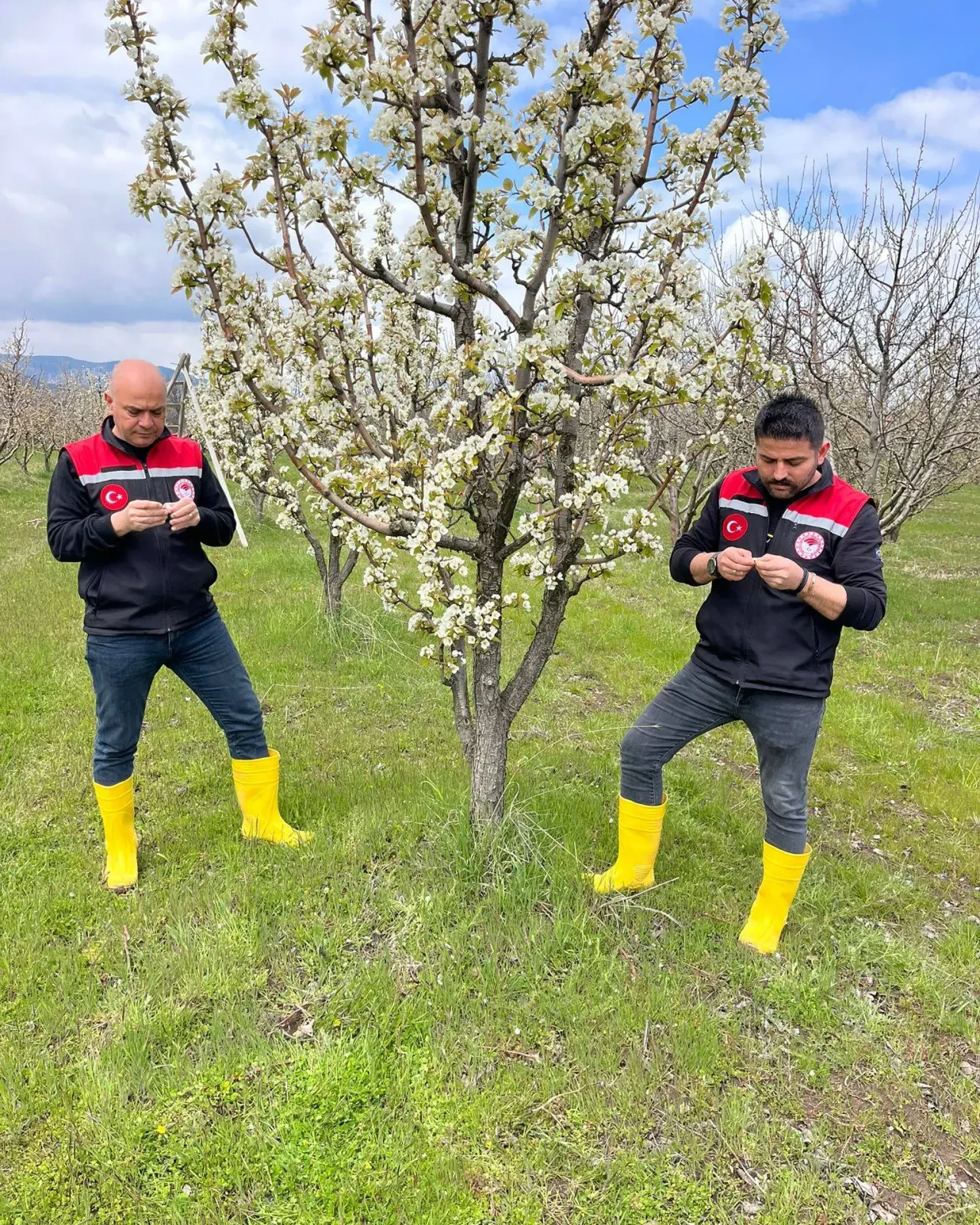 Soğuk Hava Tarımı Vurdu! 4