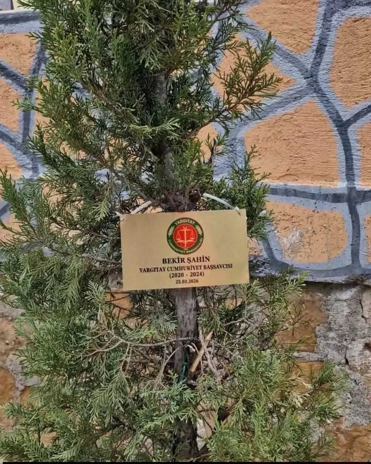 “Tek Ağaçlık Tören” Gündem Oldu 2