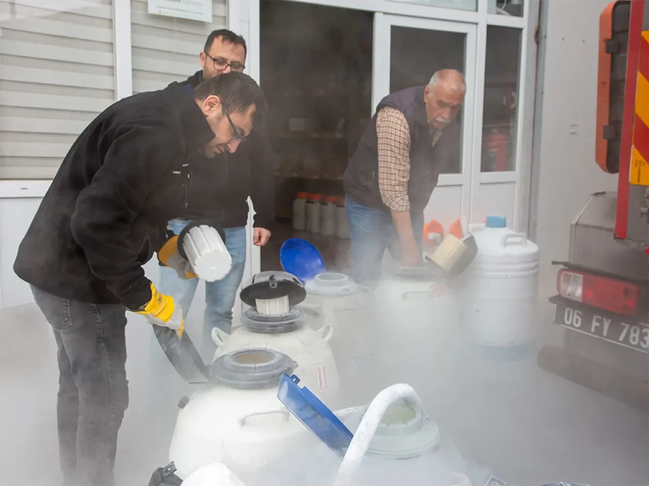 Amasya'da Spermalar Güvence Altında 2