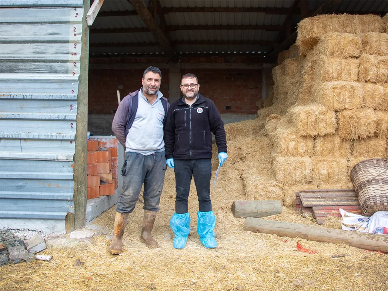 Merzifon’da Çiftçiye Hayati Dokunuş! 1