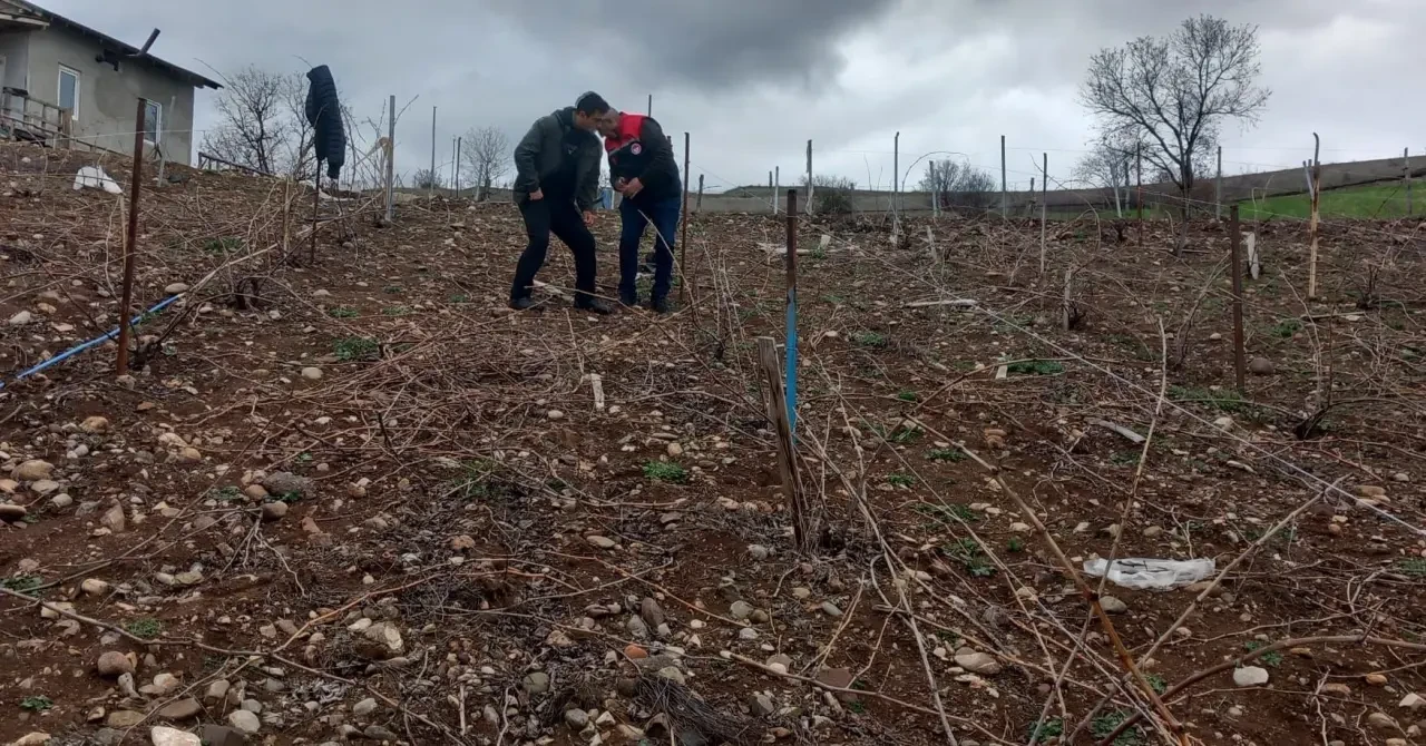 Amasya’da Modern Sistemle Budama Eğitimi 1