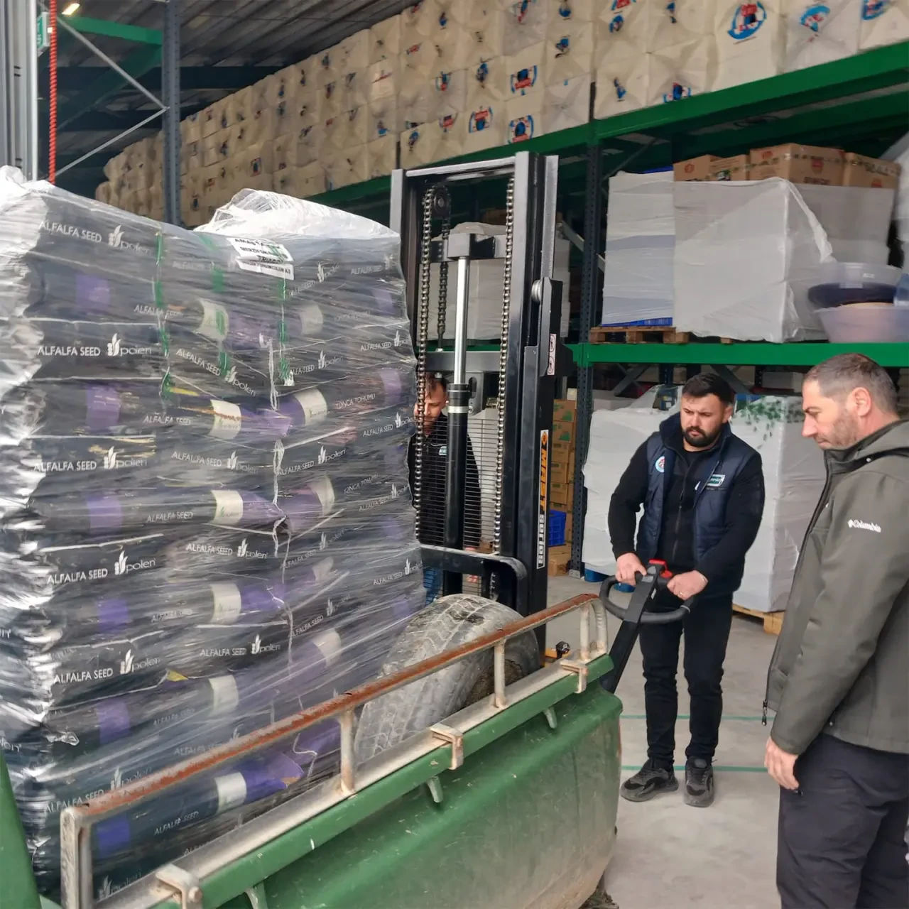 Merzifon Merkezli Dev Proje: Sözleşmeli Yonca Ekimi 4