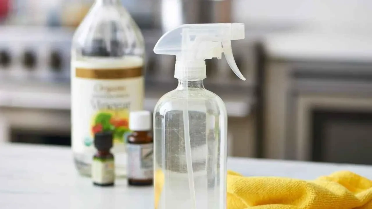 Evde Karınca Sorununa Kesin Çözüm! Bu Yöntemlerle Karıncalara Elveda Deyin 3