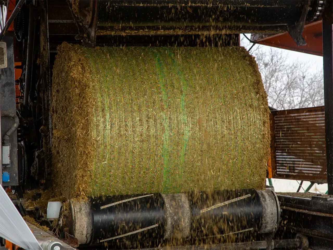 Amasya DSYB’den Hayvancılıkta Verimliliği Artıran Yem Çalışması 4