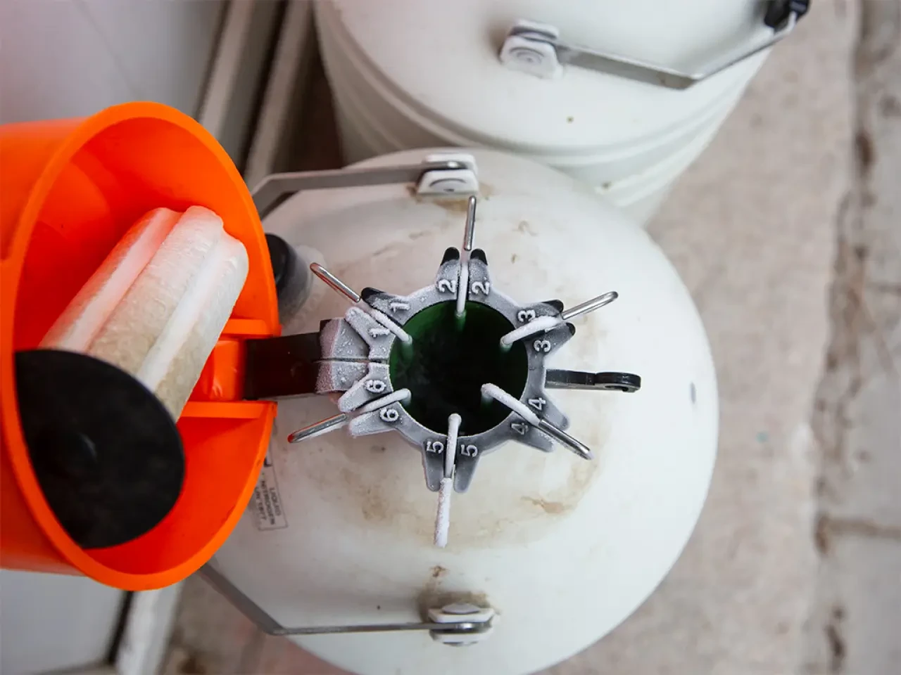 Amasya'da Spermalar Güvence Altında 4