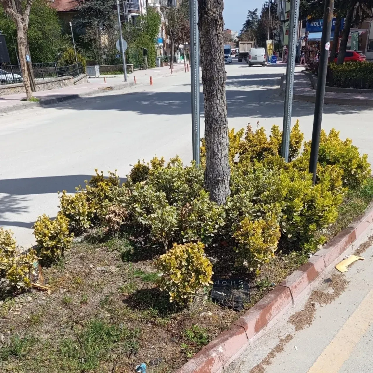 Merzifon Park ve Bahçeler Ekipleri Sahada 8