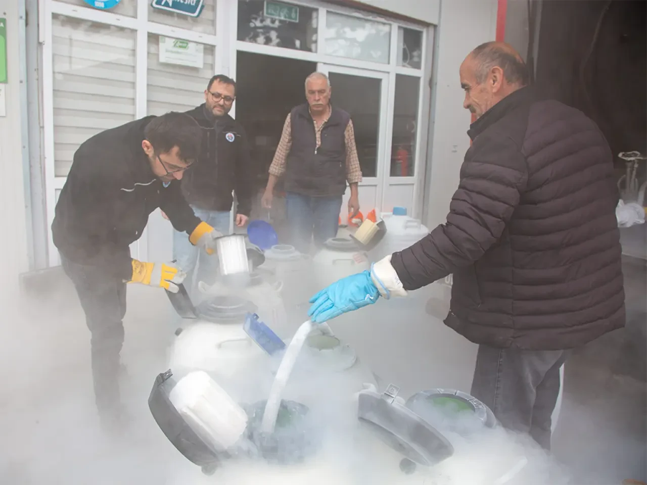 Amasya'da Spermalar Güvence Altında 1