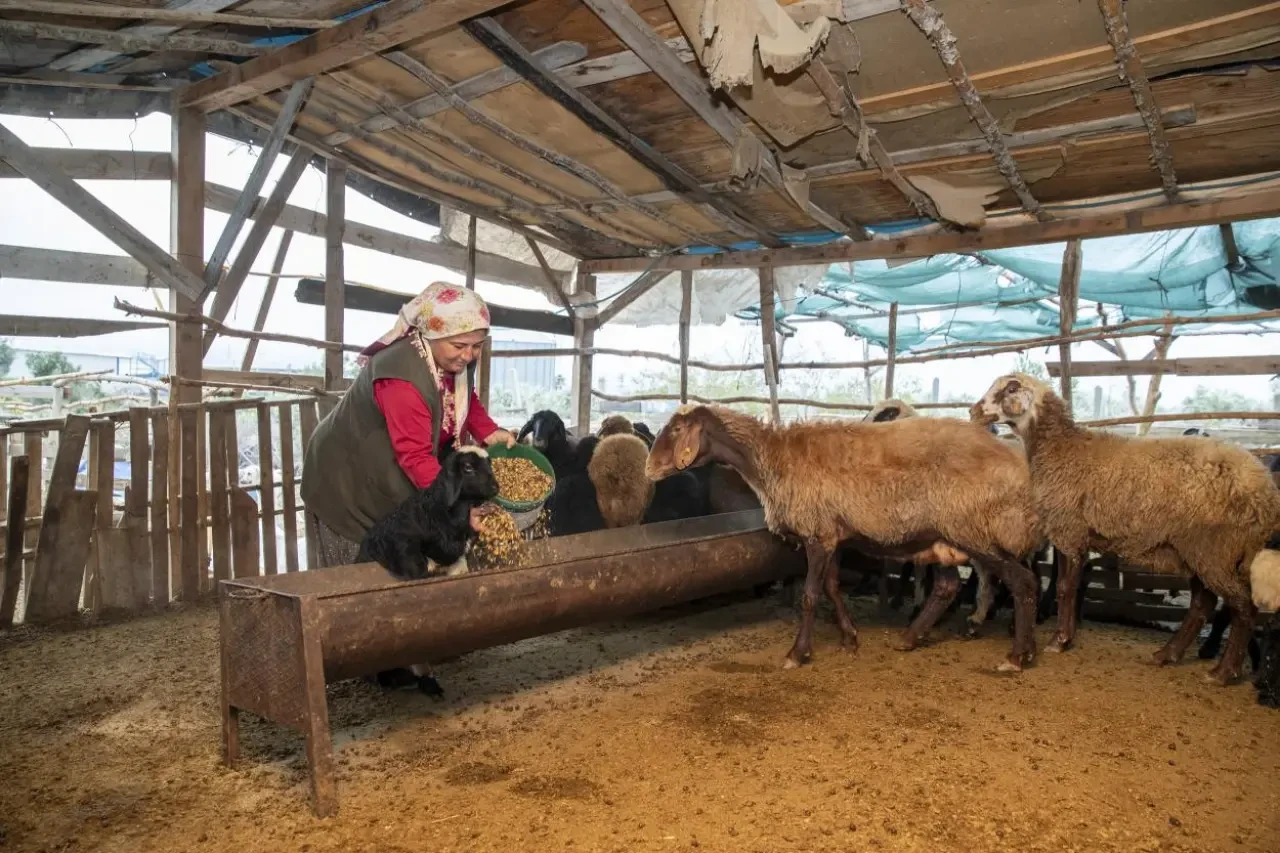 Kırsala Dönüş Başlıyor: Gençlere Maaşlı Üretim Modeli 2