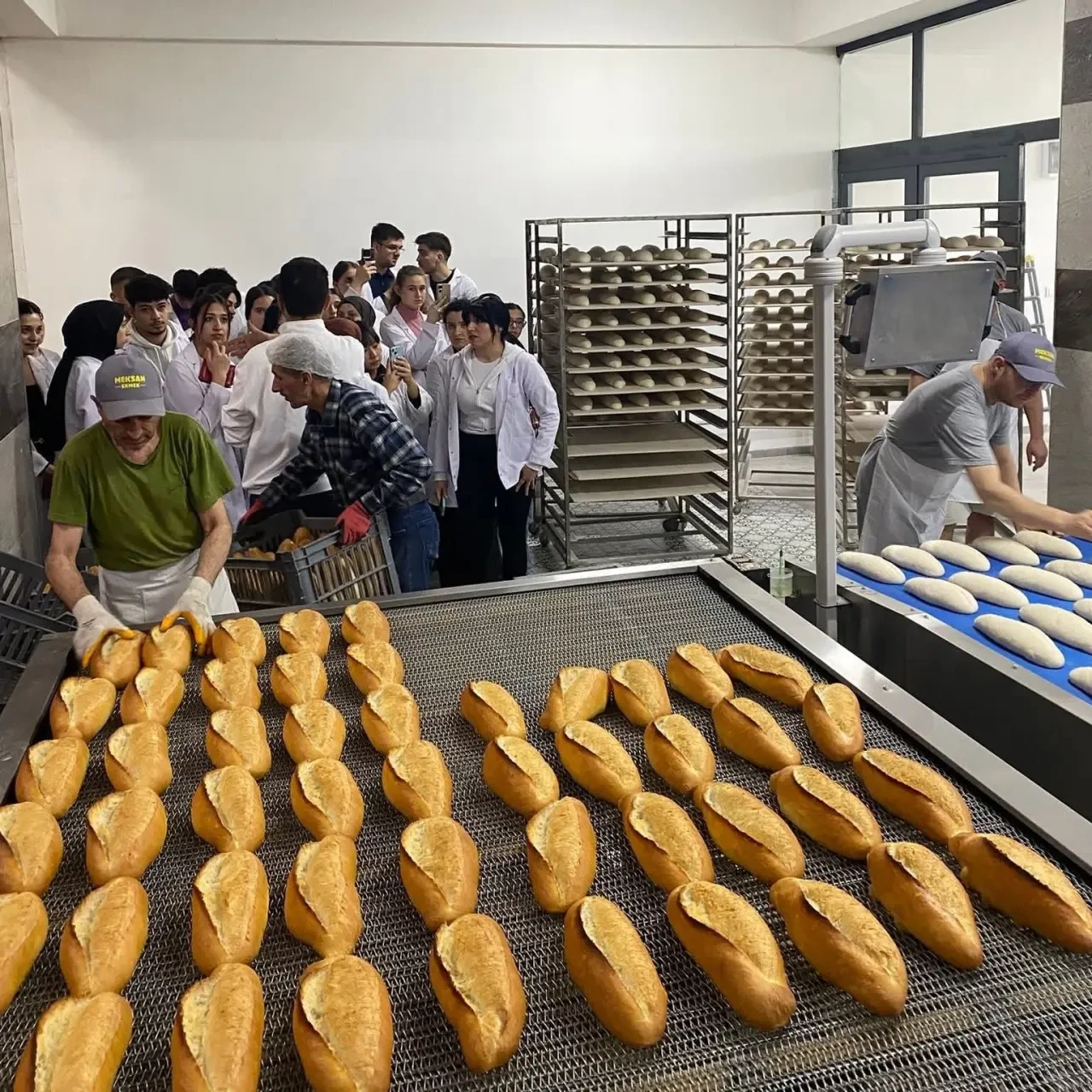 Merzifon'da Ekmek Fabrikasında Eğitim! 1