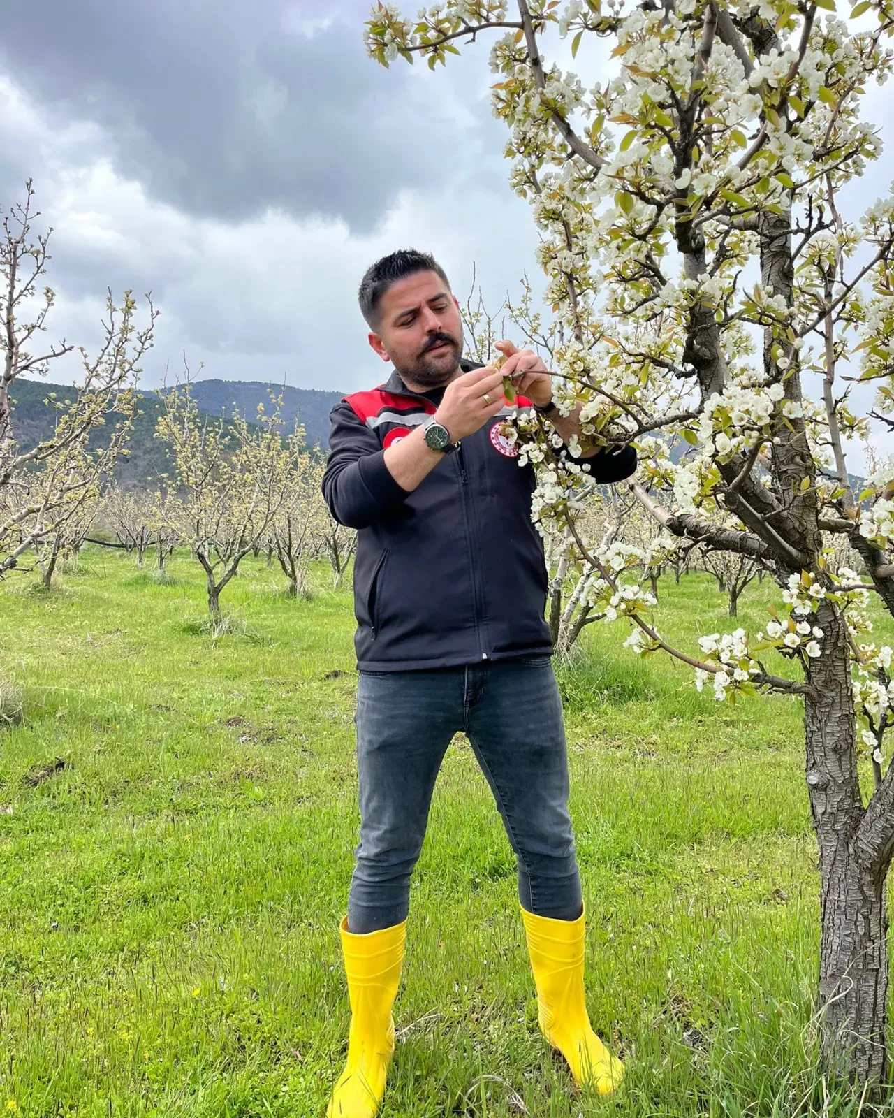 Soğuk Hava Tarımı Vurdu! 2