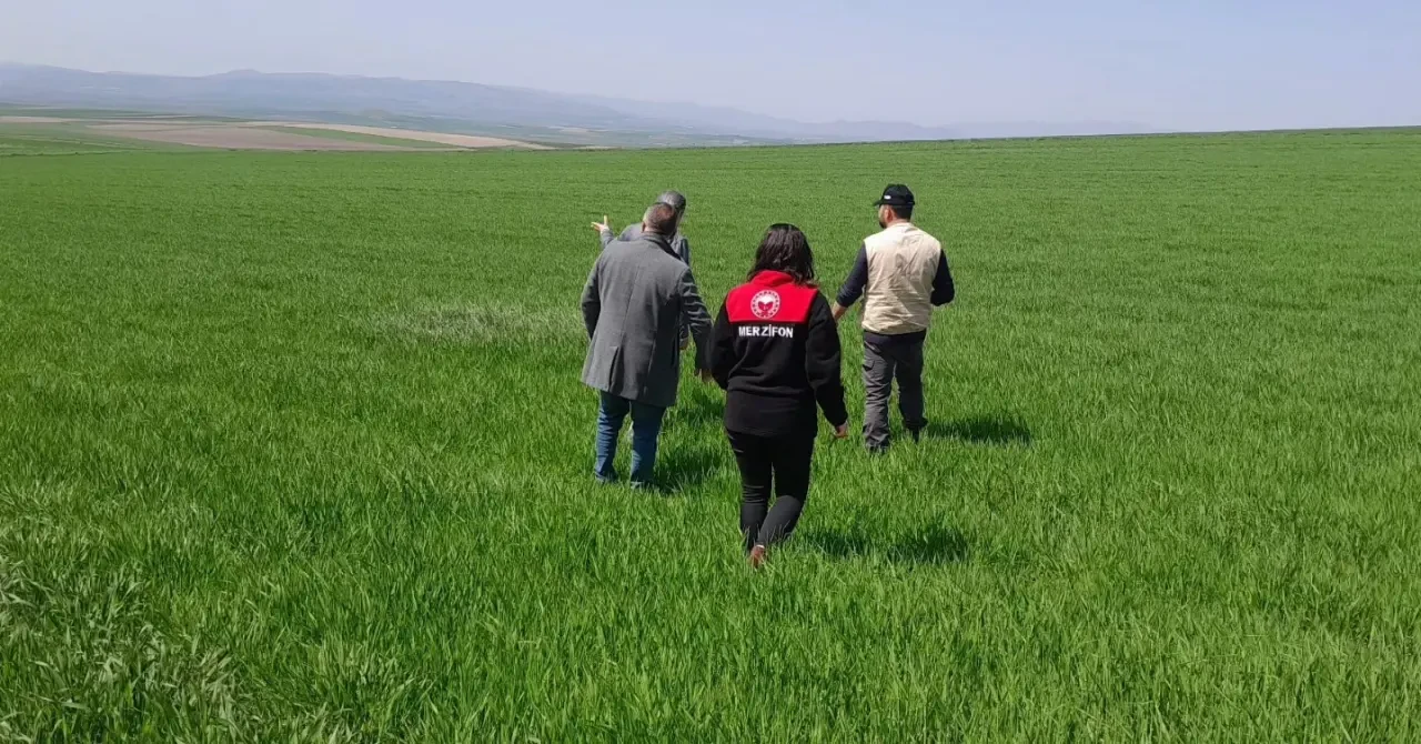 Merzifon’da Tarım Arazilerinde Yoğun Çalışma 2
