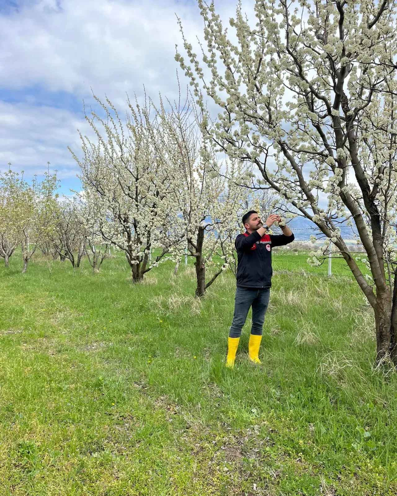 Soğuk Hava Tarımı Vurdu! 3
