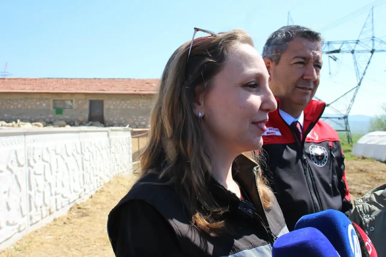 TİGEM’de 5 bin 300 Kuzu Salımı Gerçekleşti 2