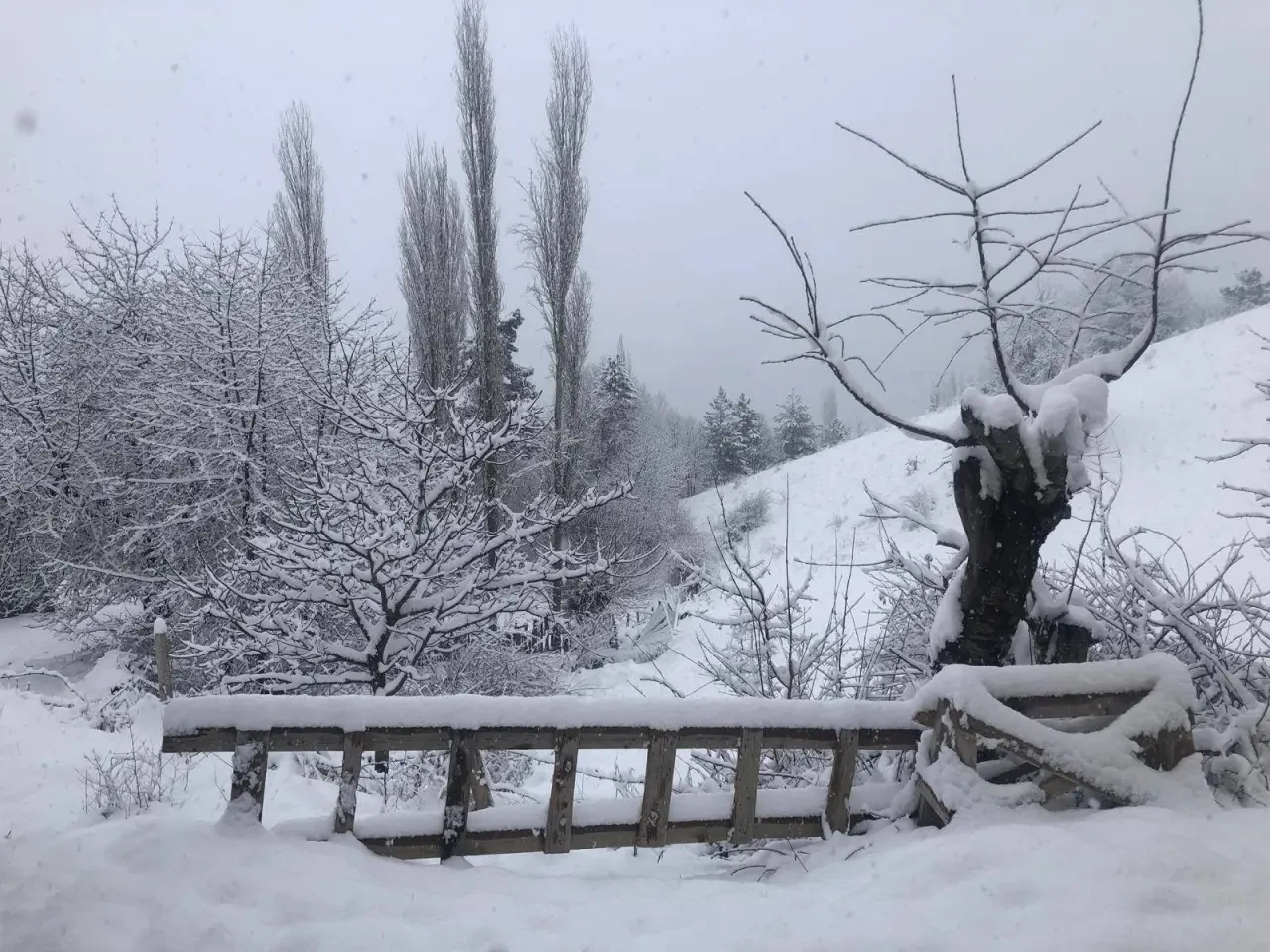 Çorum’un Köyleri Bir Gecede Beyaza Büründü 2