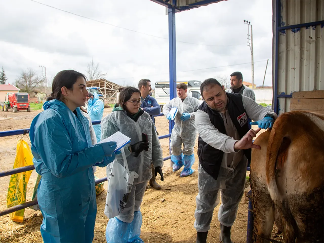 Amasya’da Sürü Yönetiminde Yeni Dönem! 1