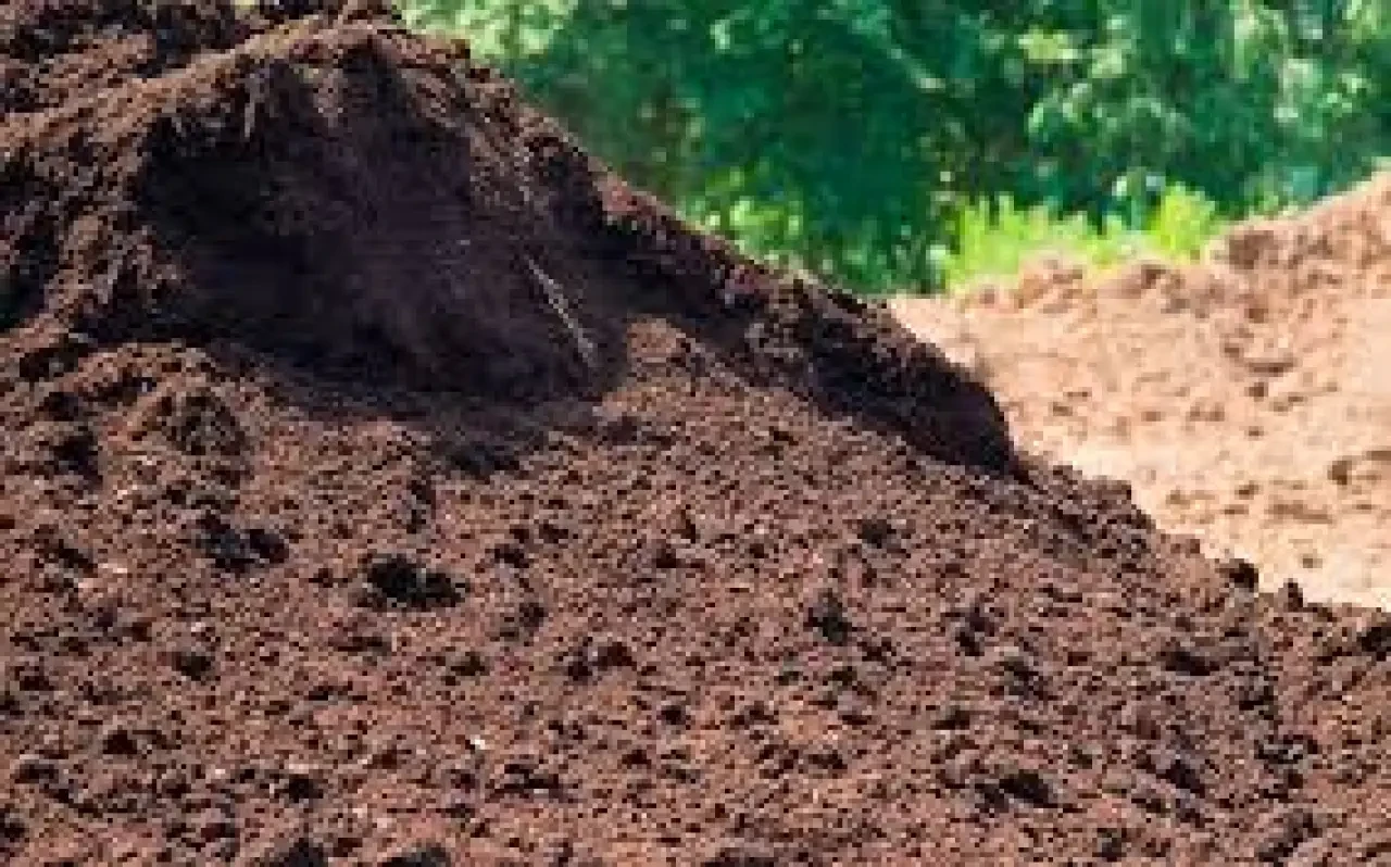 Rüyada Toprak Görmek Ne Anlama Gelir? İşte Dikkat Çeken Yorumlar 2