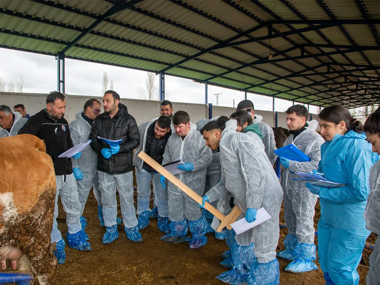 Amasya’da Sürü Yönetiminde Yeni Dönem! 3