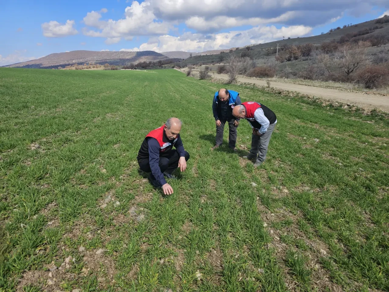 Gümüşhacıköy’de Hububat Nöbeti! 1