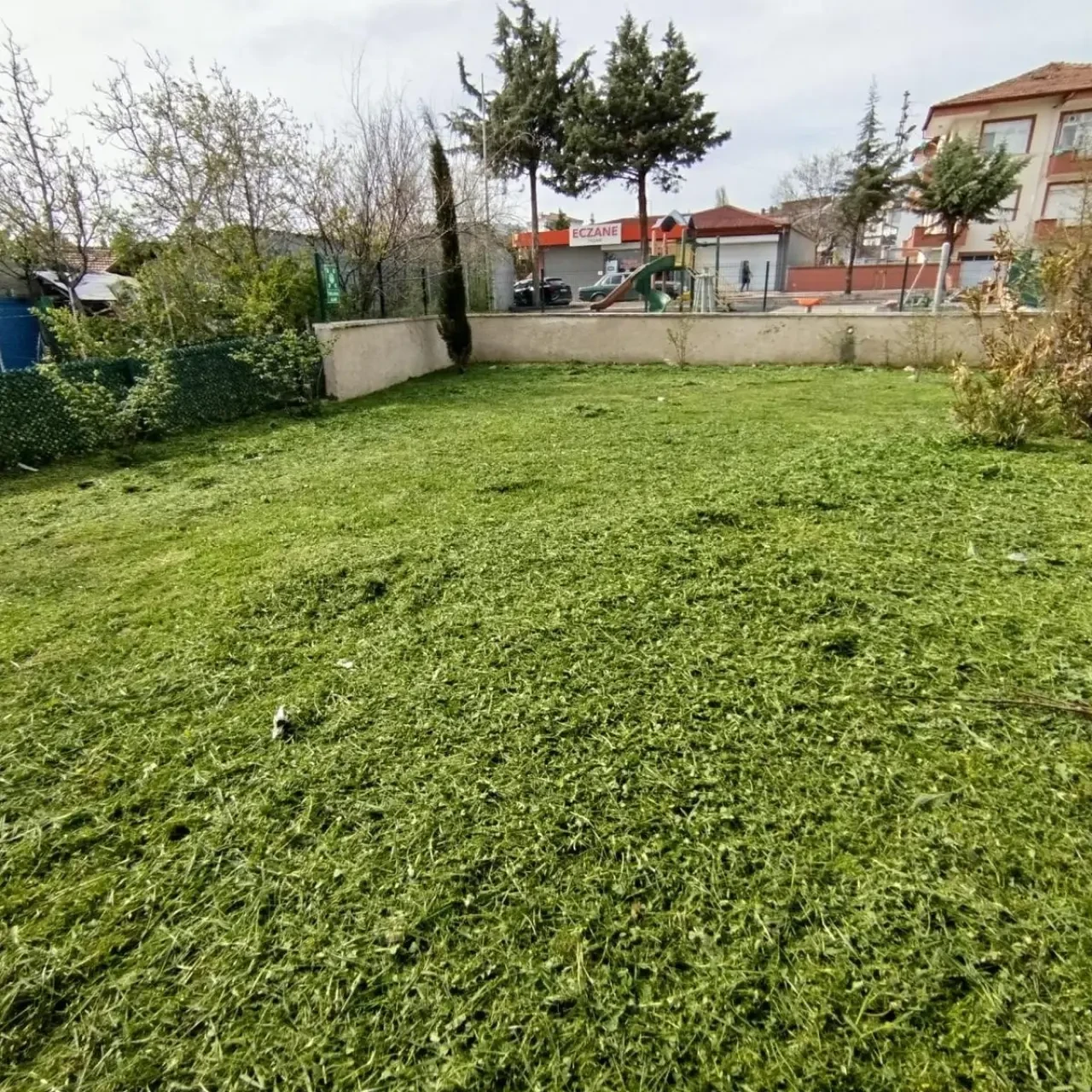 Merzifon Park ve Bahçeler Ekipleri Sahada 1