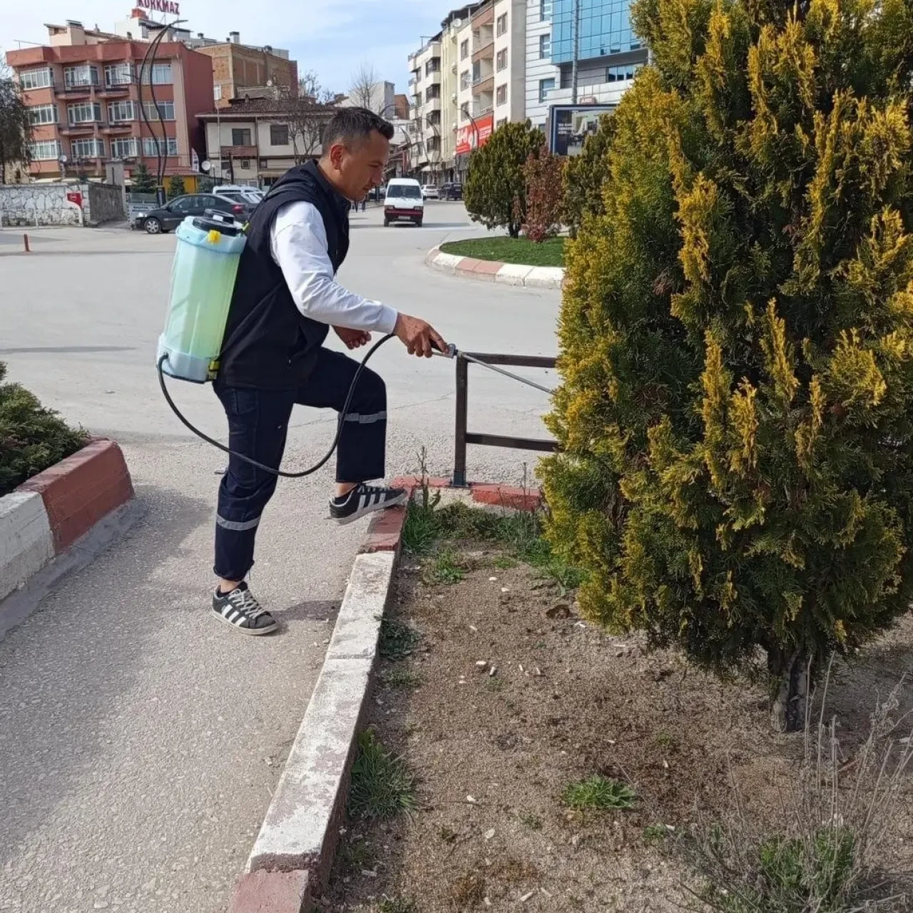 Merzifon Park ve Bahçeler Ekipleri Sahada 7