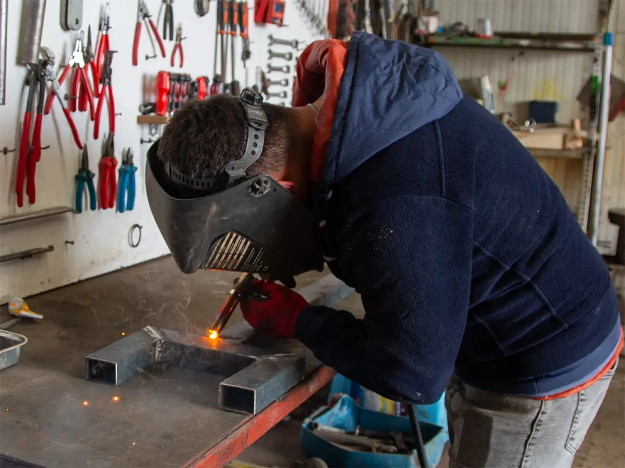Amasya Damızlıkta Sezon Öncesi Yoğun Mesai! 3