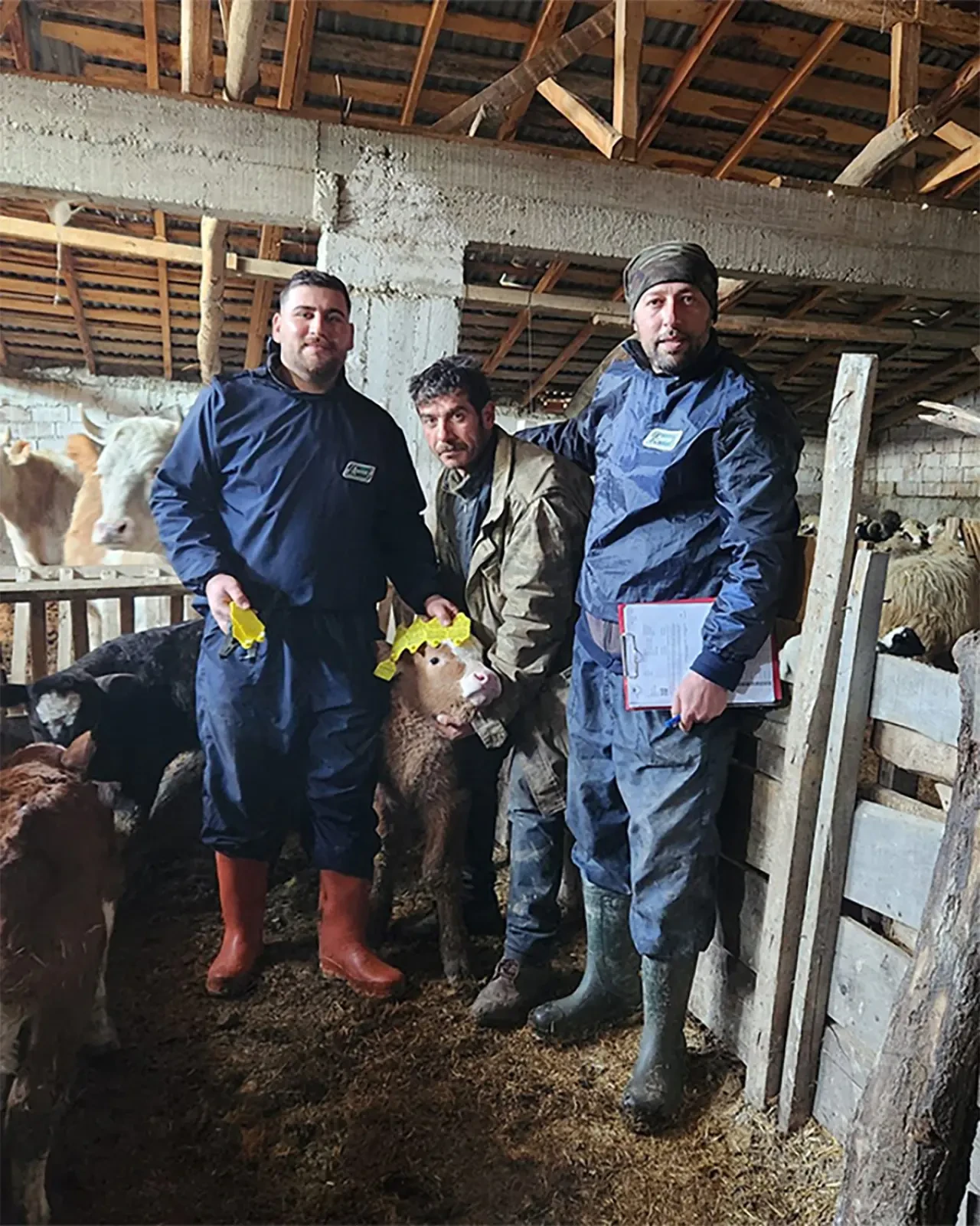 Amasya’da Hayvancılığa Dev Adım 3