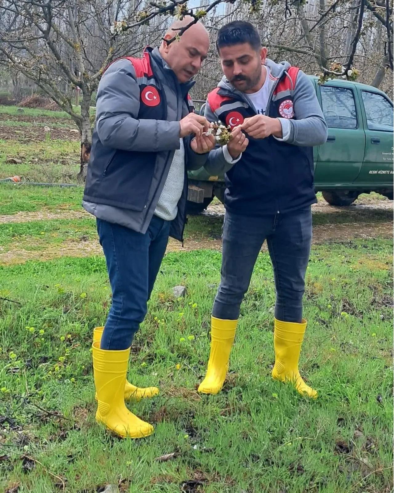 Soğuk Hava Tarımı Vurdu! 1