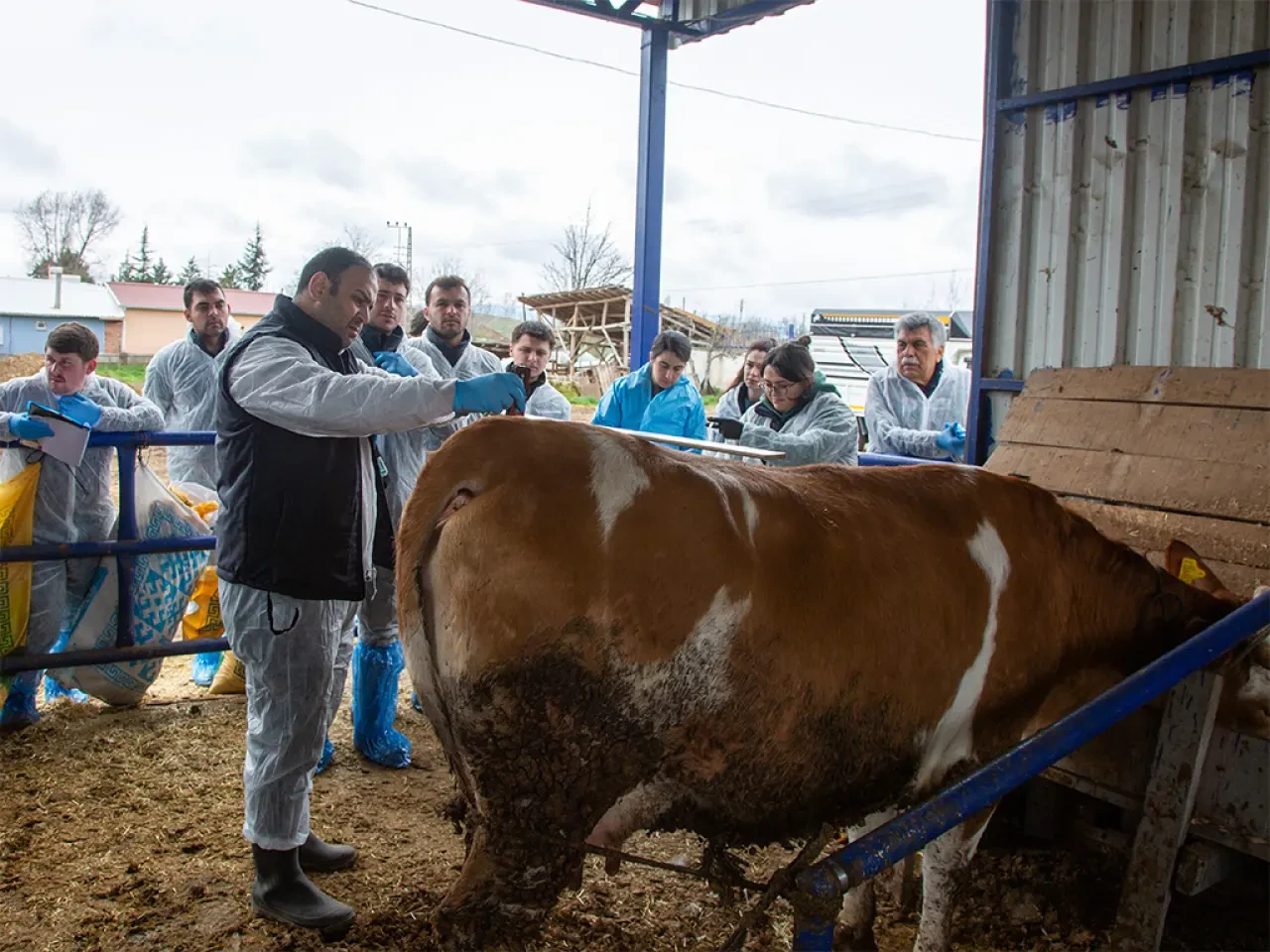 Amasya’da Sürü Yönetiminde Yeni Dönem! 2