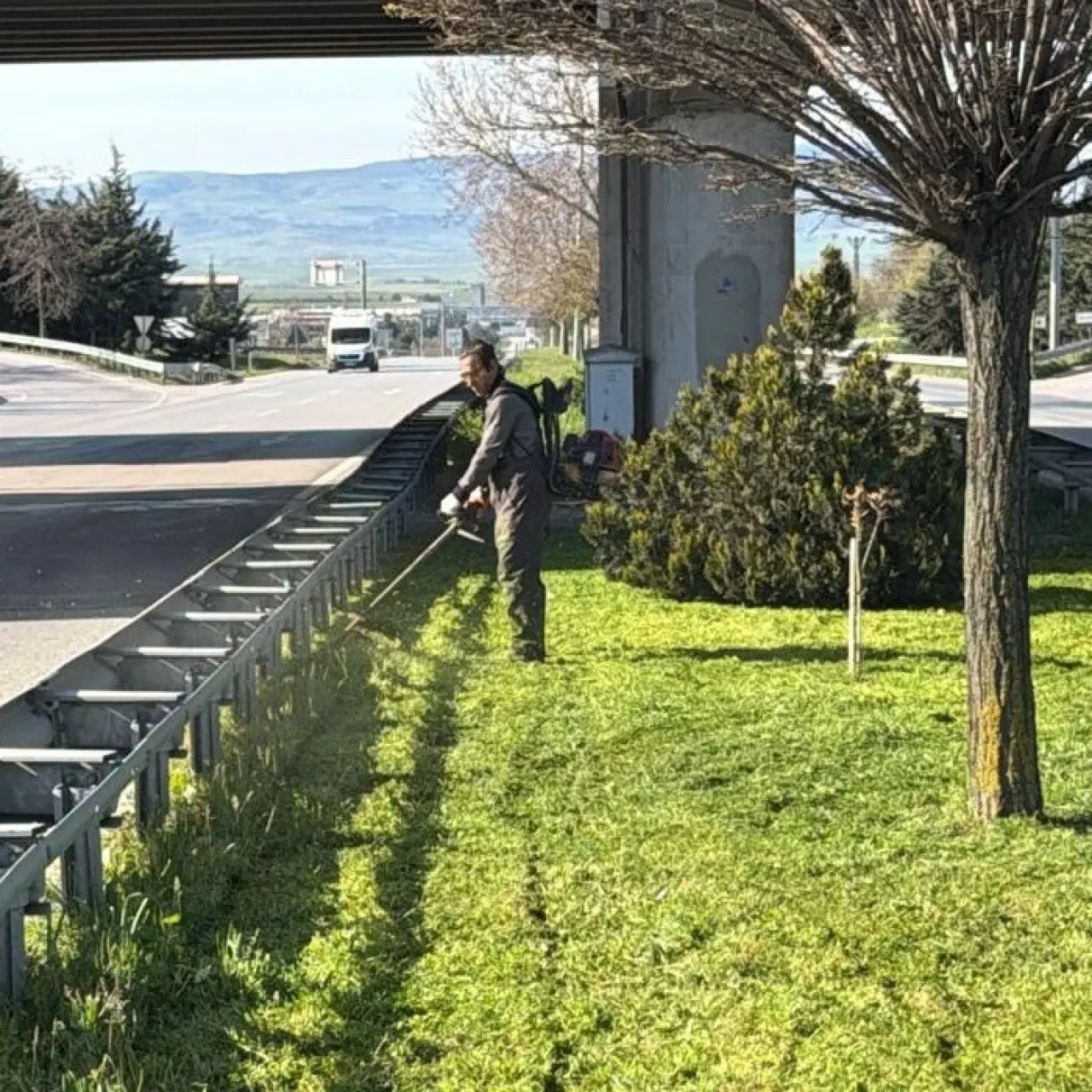 Merzifon Park ve Bahçeler Ekipleri Sahada 5