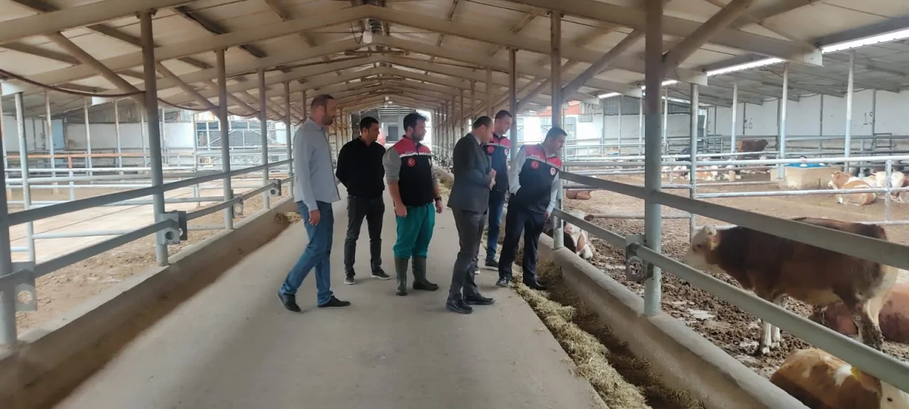 Suluova’da Hayvancılığa Katma Değer Katan Ziyaret
