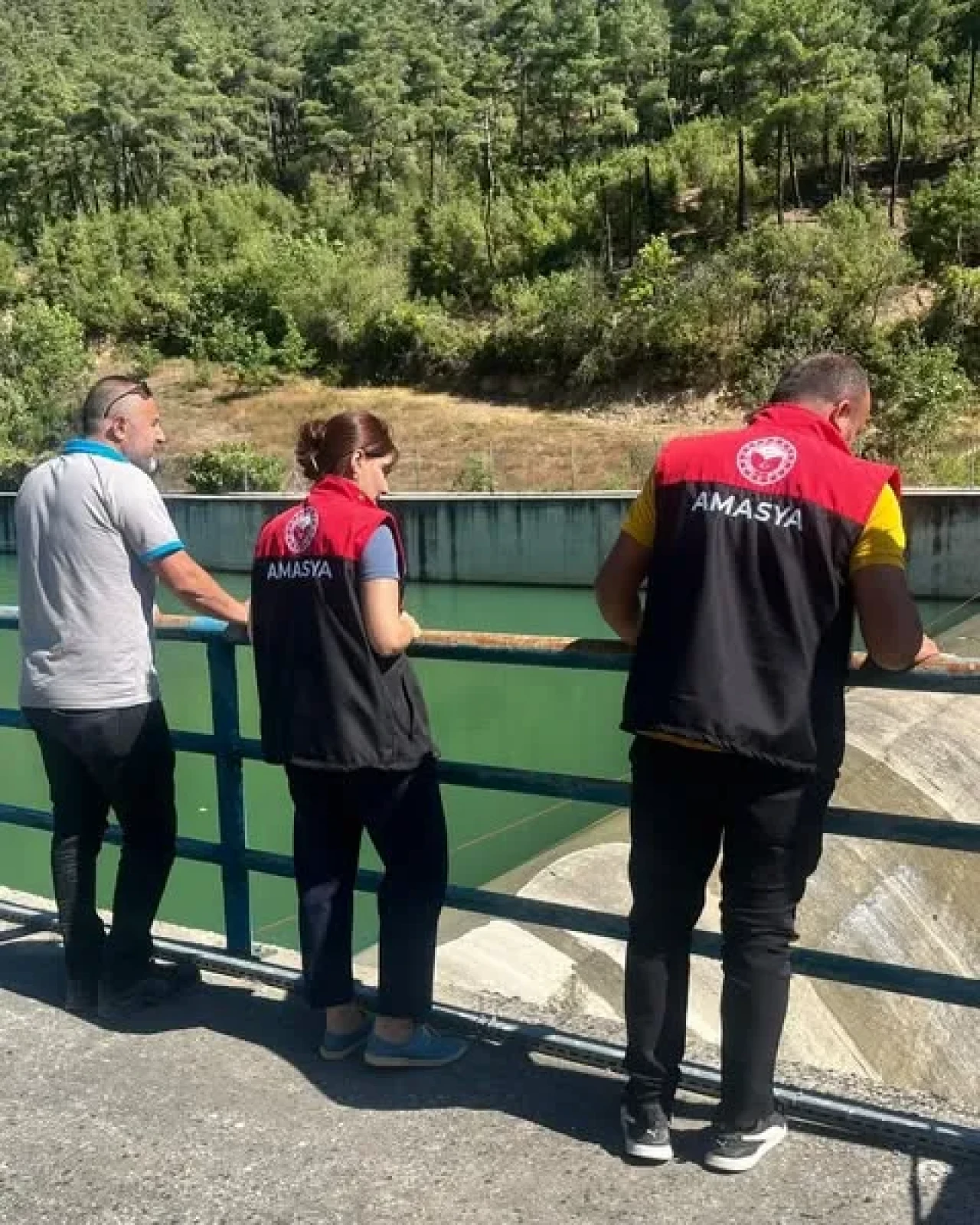 Amasya’da Hidroelektrik Santrallerde Ekosistem Kontrolü