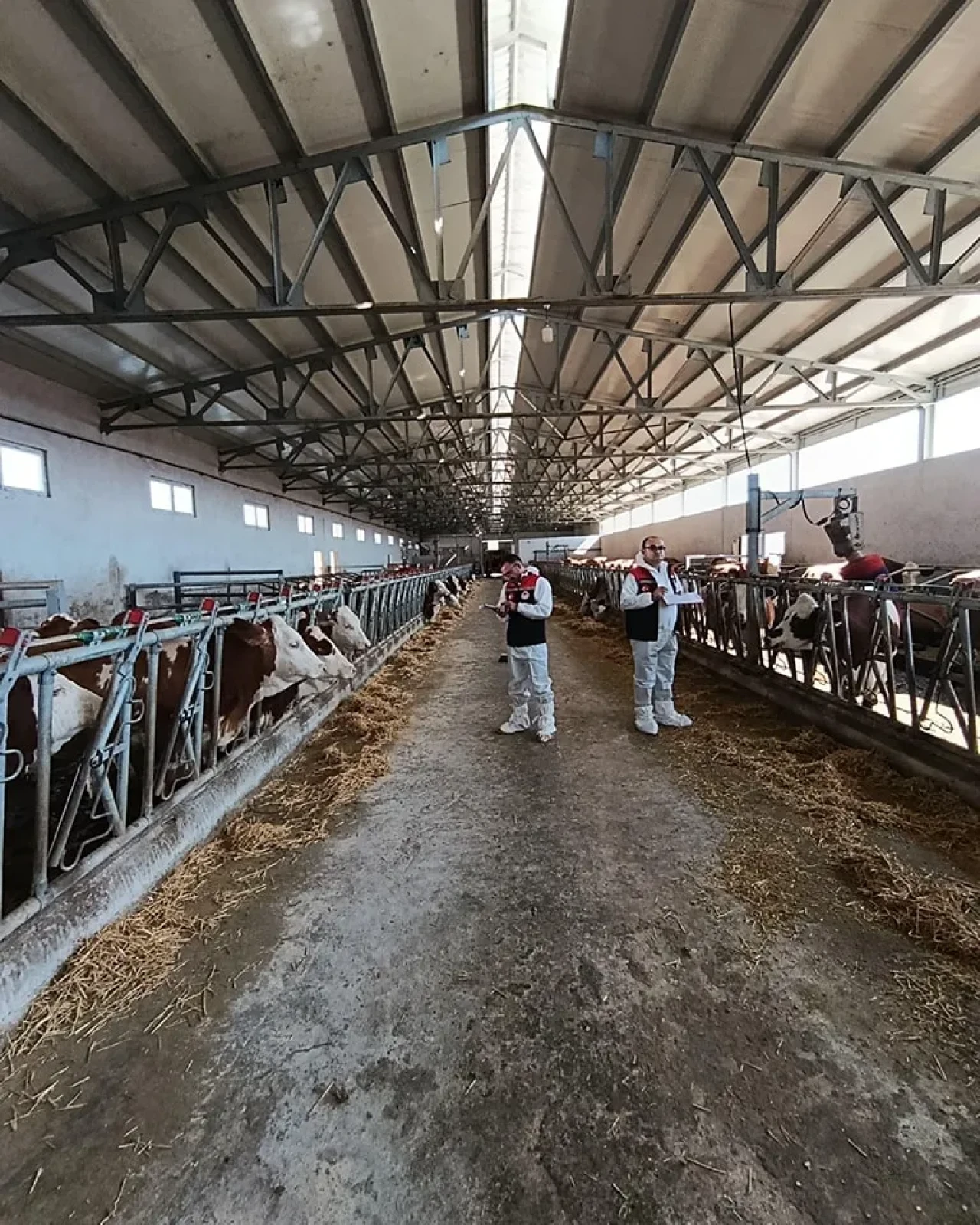 Amasya’da Hastalıktan Ari İşletme Denetimleri Aralıksız Sürüyor