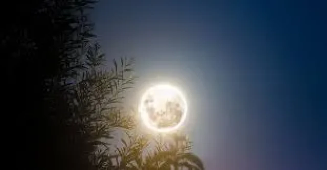 Rüyada Dolunay Görmek Ne Anlama Gelir? Işığın ve Huzurun Simgesi Olarak Yorumlanıyor