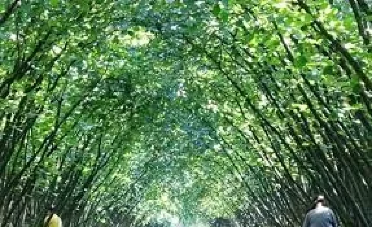 63 yatırımcıya fındık hasat filesi hibesi