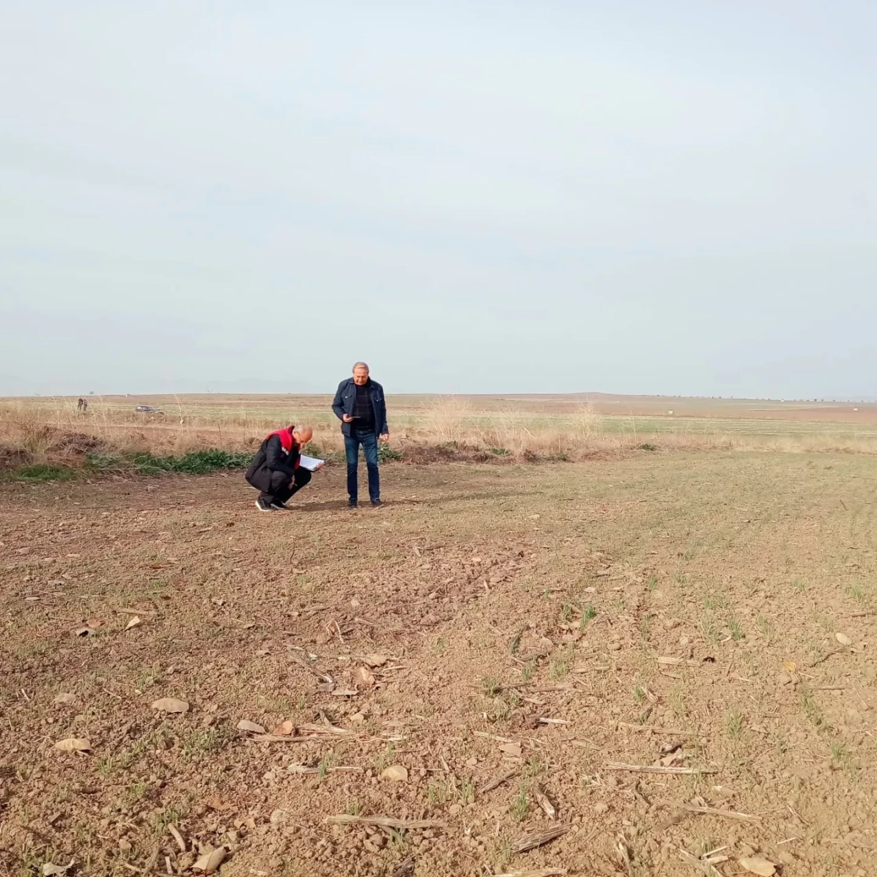 MERZİFON’DA PLANLI ÜRETİM İÇİN ARAZİ TESPİT ÇALIŞMALARI SÜRÜYOR