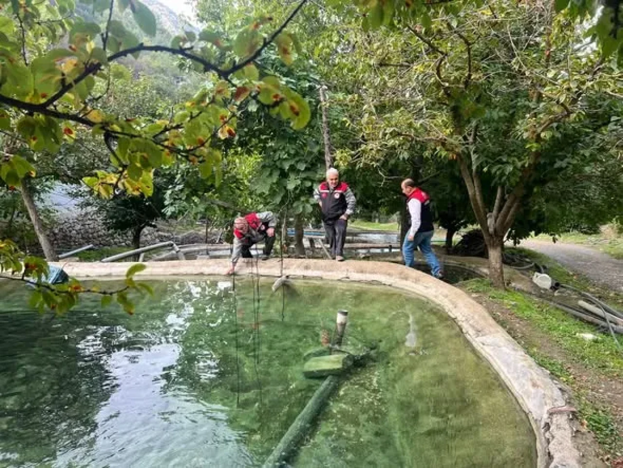 Amasya’da Alabalık Üretim Tesislerinde Denetimler Sürüyor