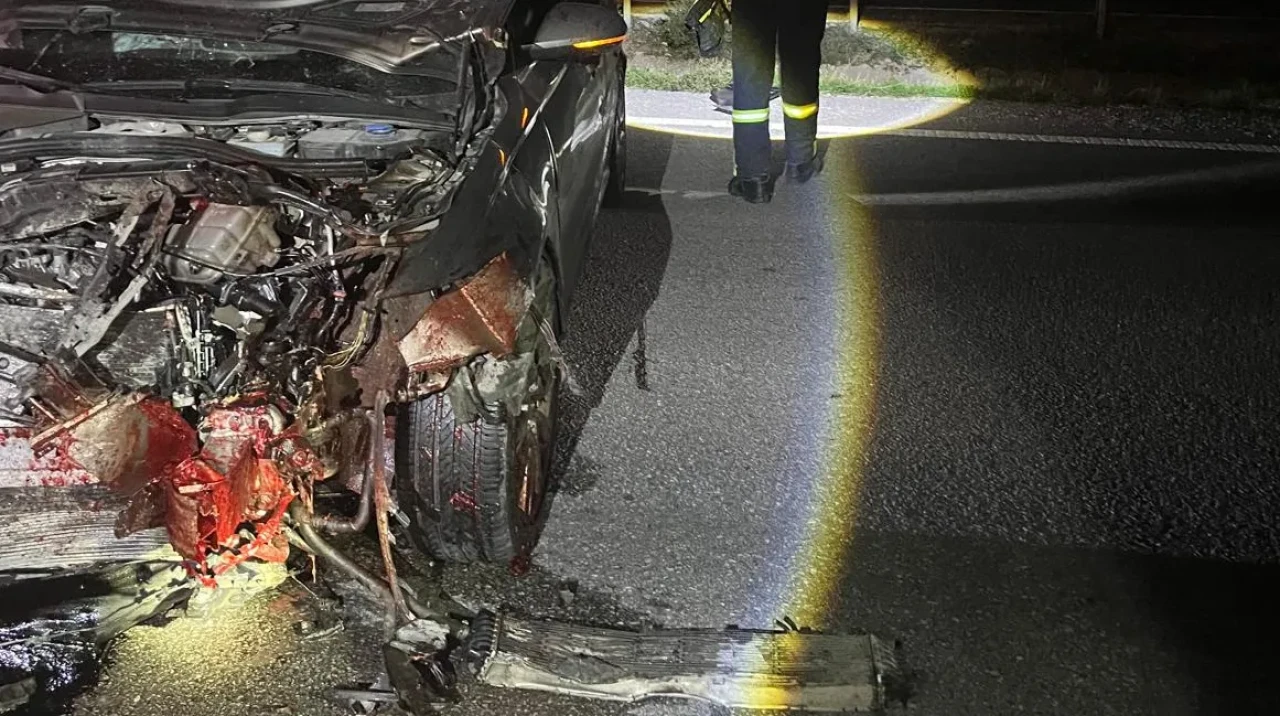 Merzifon'da Kaza! Yola Çıkan Domuza Çarptı!