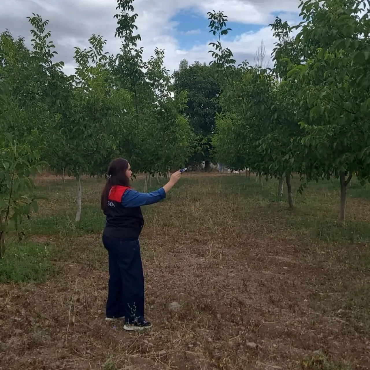 Amasya’da Tarımsal Arazi Vasıf Değişikliği İşlemleri Devam Ediyor