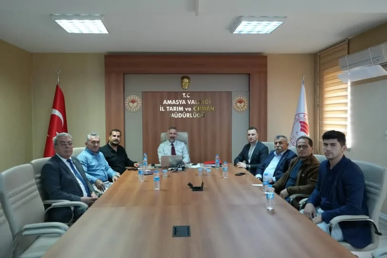 Amasya’da Anadolu Mandası Islahında Yeni Adım