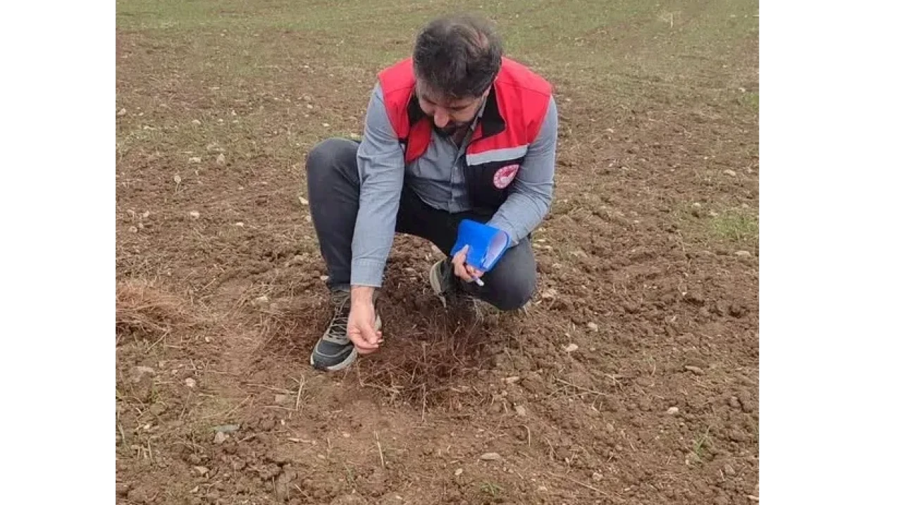 Merzifon Tarımda Sıkı Denetim: Şüpheli Kayıtlar Ortaya Çıktı!