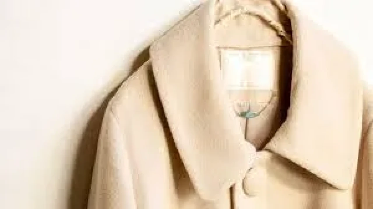 Rüyada Kaban Görmek Ne Anlama Gelir? İşte Bilinmesi Gerekenler