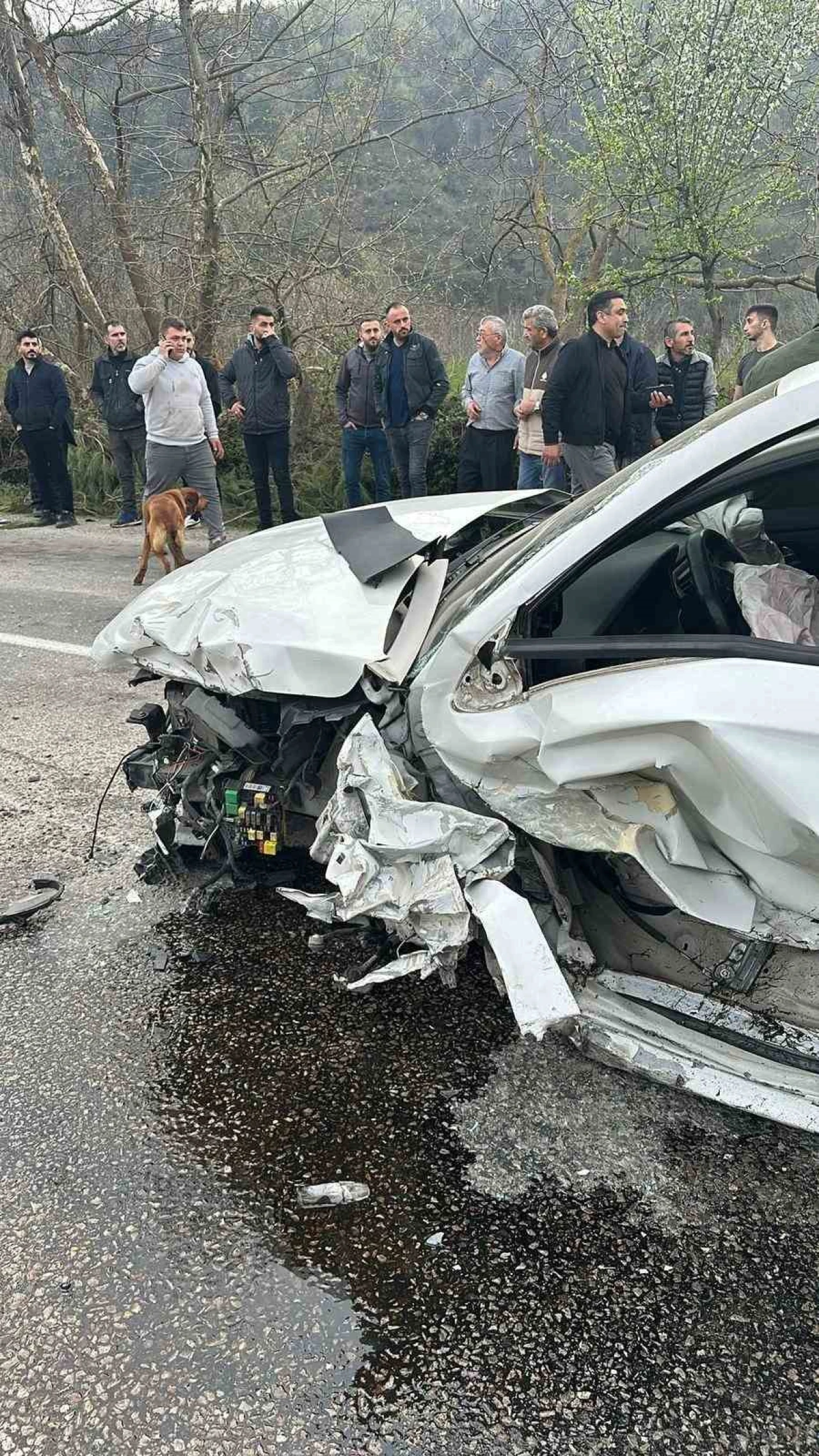 Trafiği Altüst Eden Kaza: 7 Kişi Yaralandı