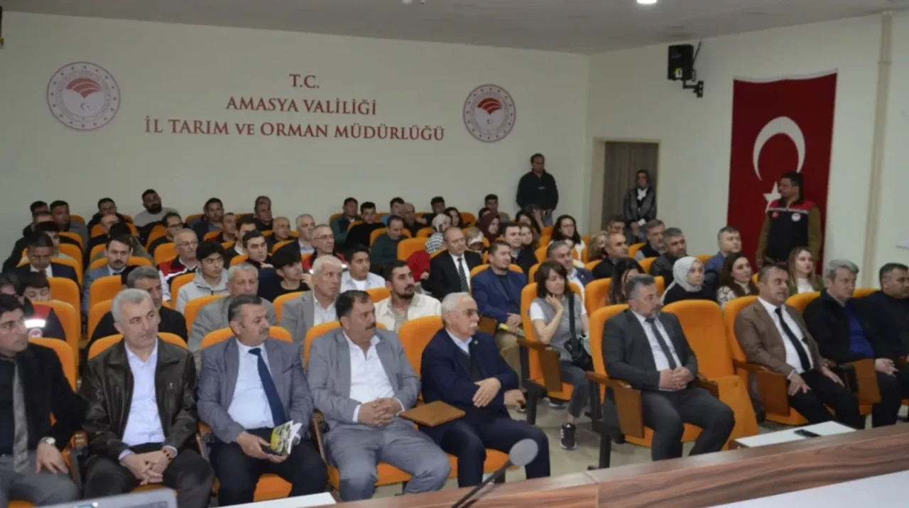 Amasya’da “Kenevir Yeniden Doğuyor” Projesi Başladı