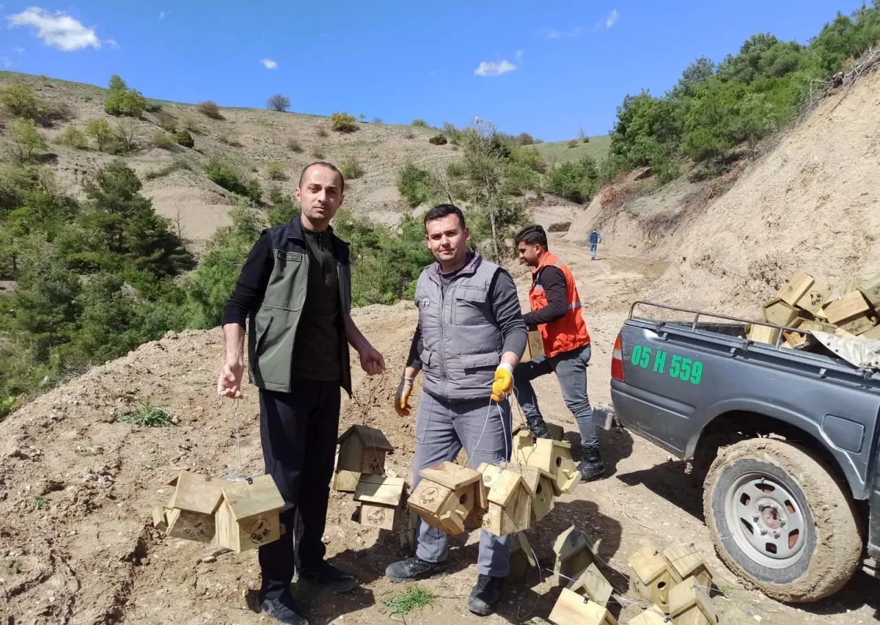 Taşova’da Ormanların Koruyucu Kuşları İçin Yüzlerce Yuva Asıldı