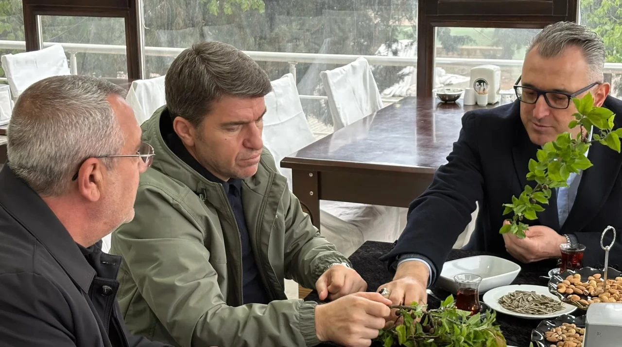 Zirai Don Amasya’yı Vurdu! Yetkililer Kriz Masasında Buluştu
