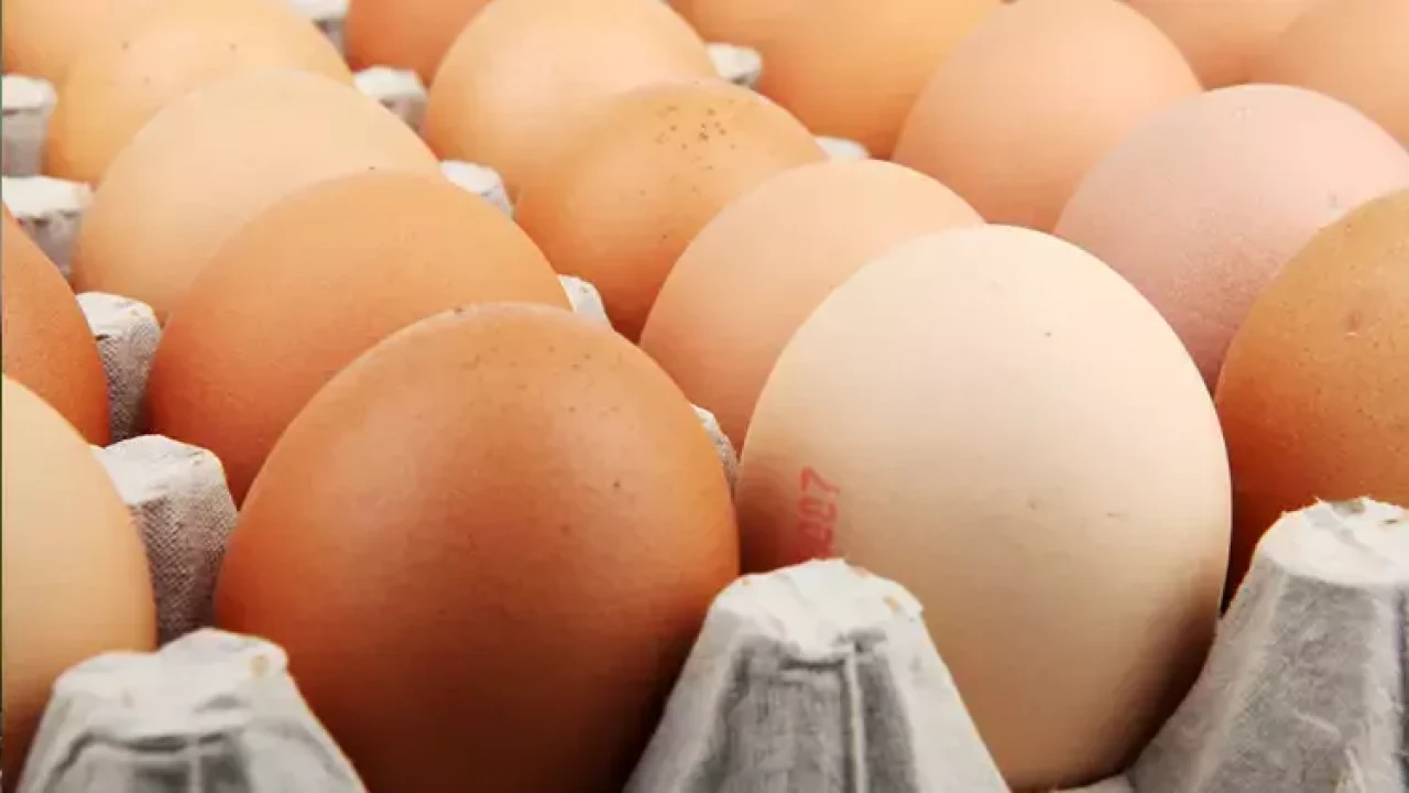 Rüyada Yumurta Görmek Ne Anlama Gelir? İşte Yumurta Kırmak, Toplamak ve Yemekle İlgili Rüya Yorumları